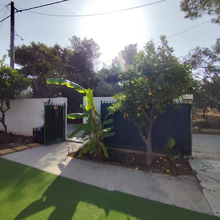 Johnson House Villa Rafína Dış mekan fotoğraf